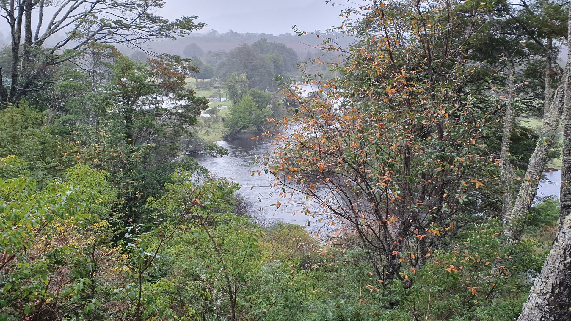 Montañas y senderos